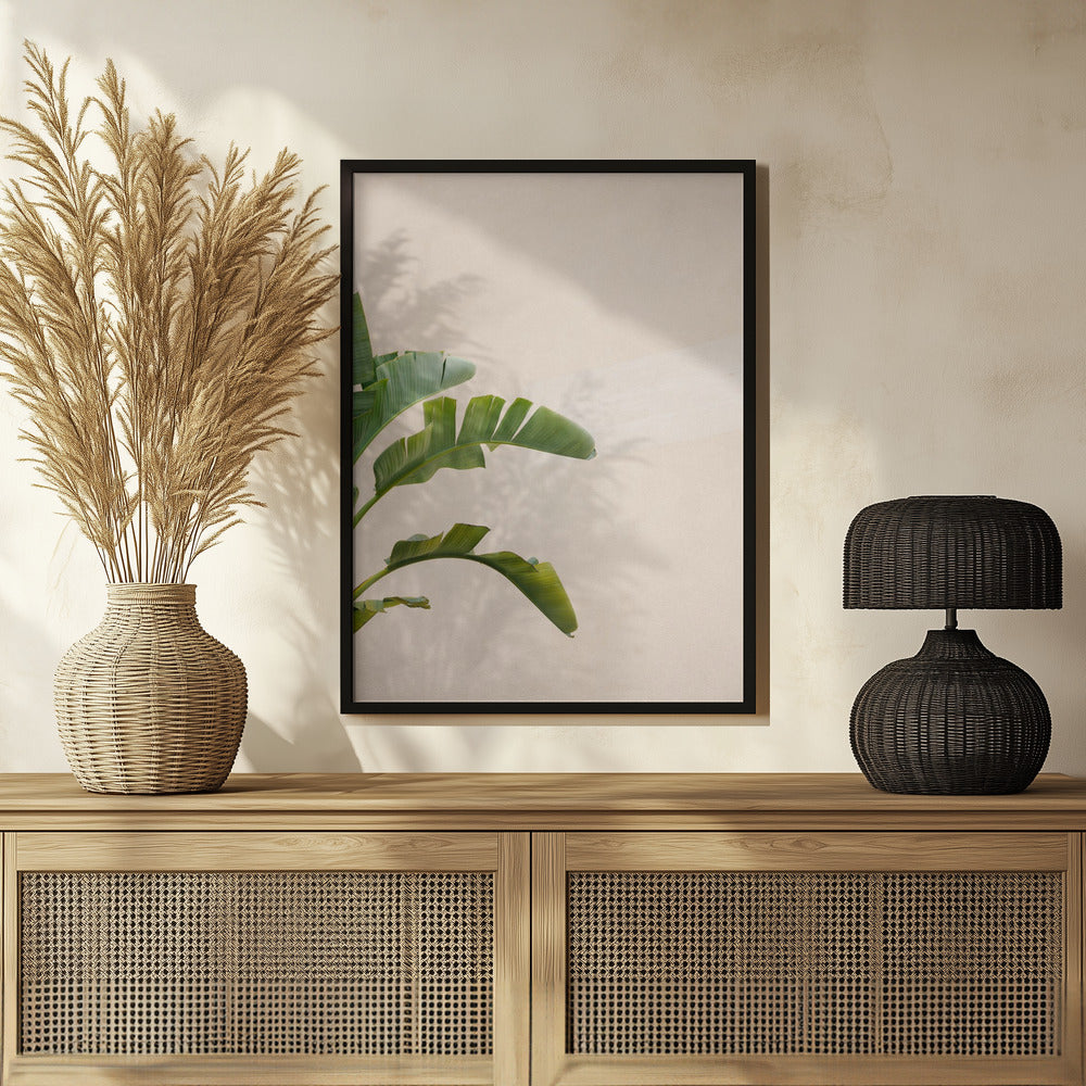 Cannes Banana Plant Poster