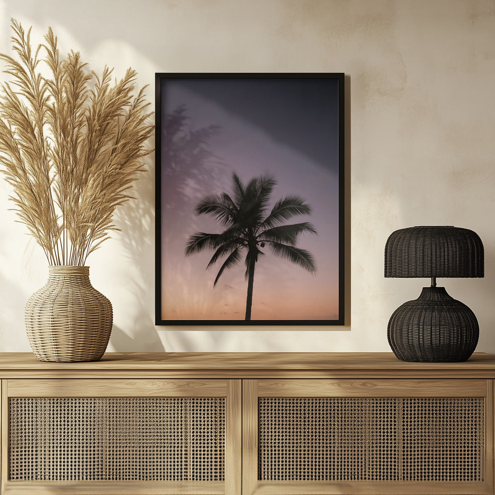 Costa Rica Palm Tree Poster