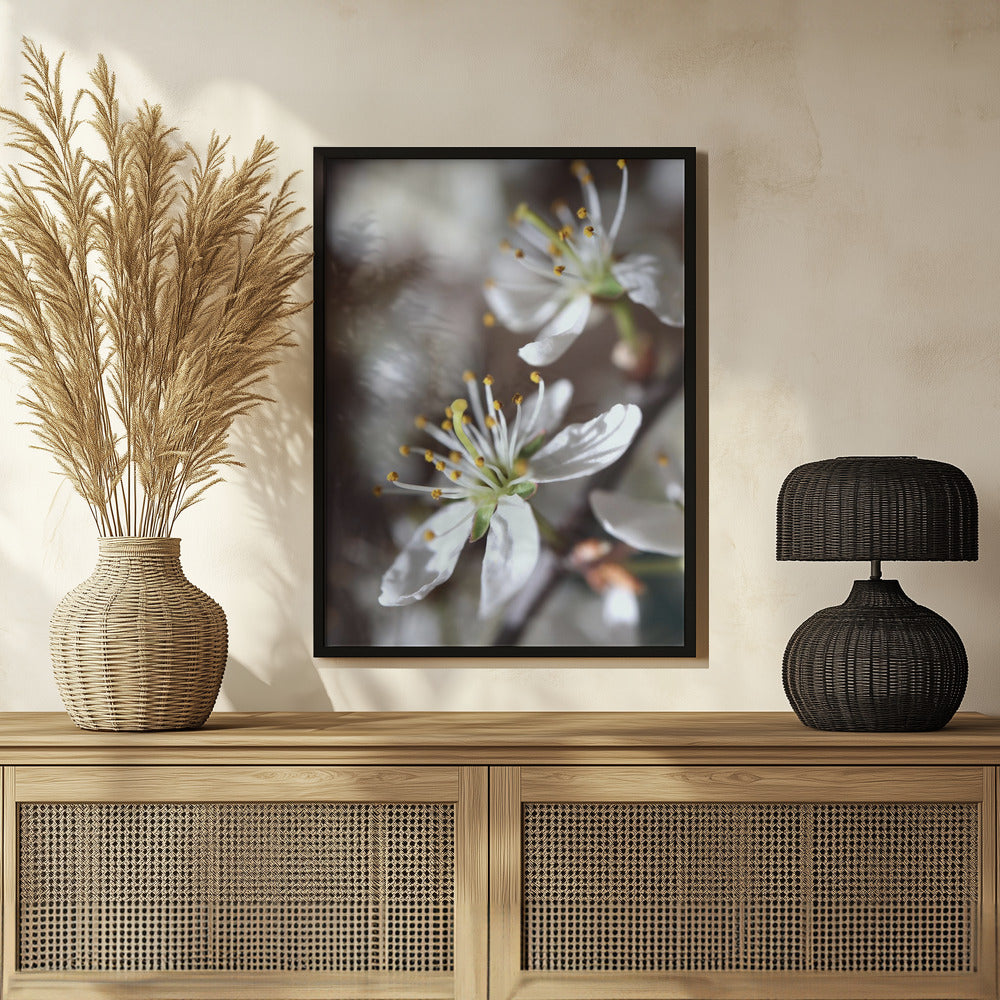 Spring blooms I Poster