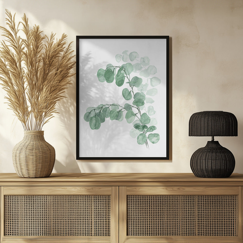 Watercolor silver dollar eucalyptus Poster