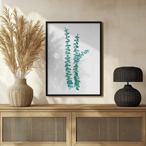 Watercolor eucalyptus branches in teal Poster