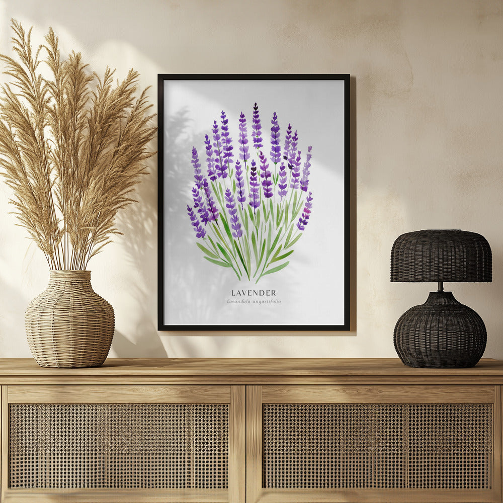 Lavender I Poster