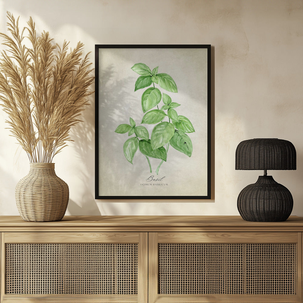 Basil vintage Poster