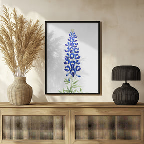 Watercolor Texas bluebonnet Poster