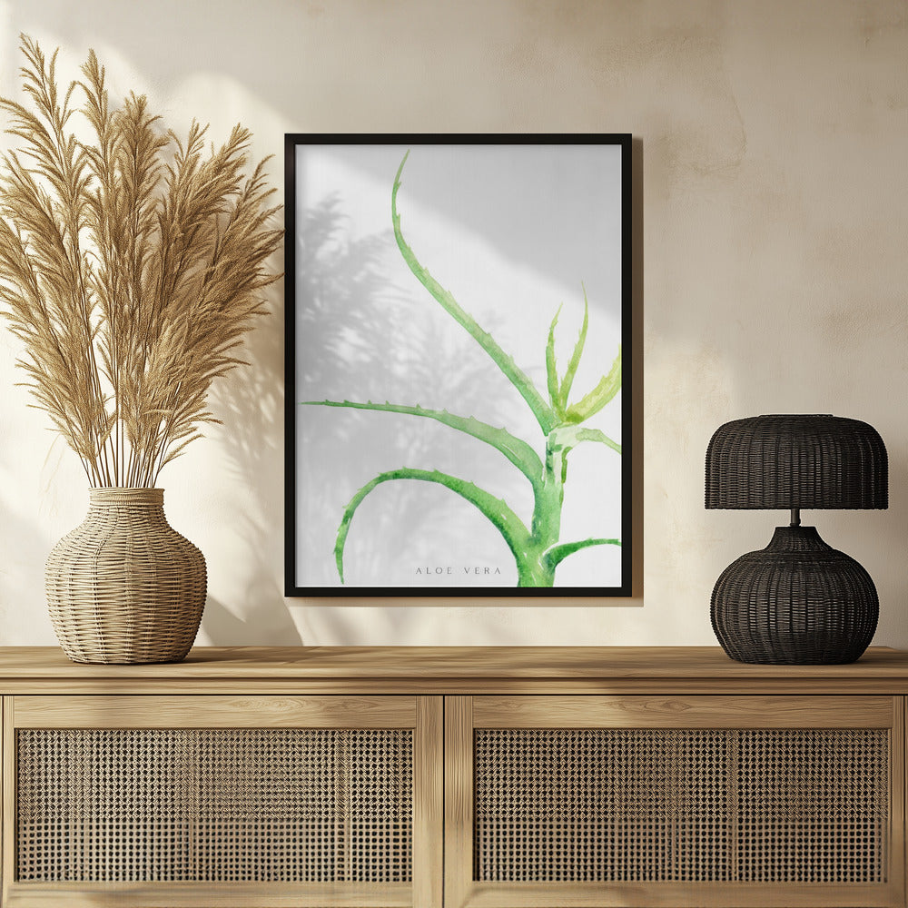 Watercolor aloe vera Poster