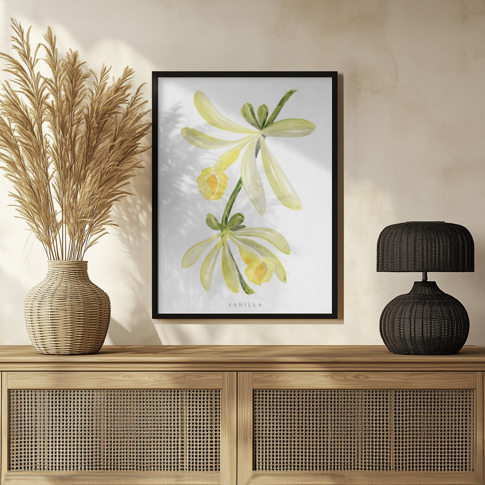 Watercolor vanilla orchid Poster