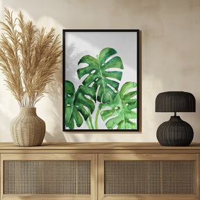 Monstera leaves in loose watercolor Poster