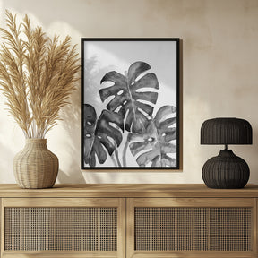 Monstera Leaves In Loose Watercolor Black and White Poster