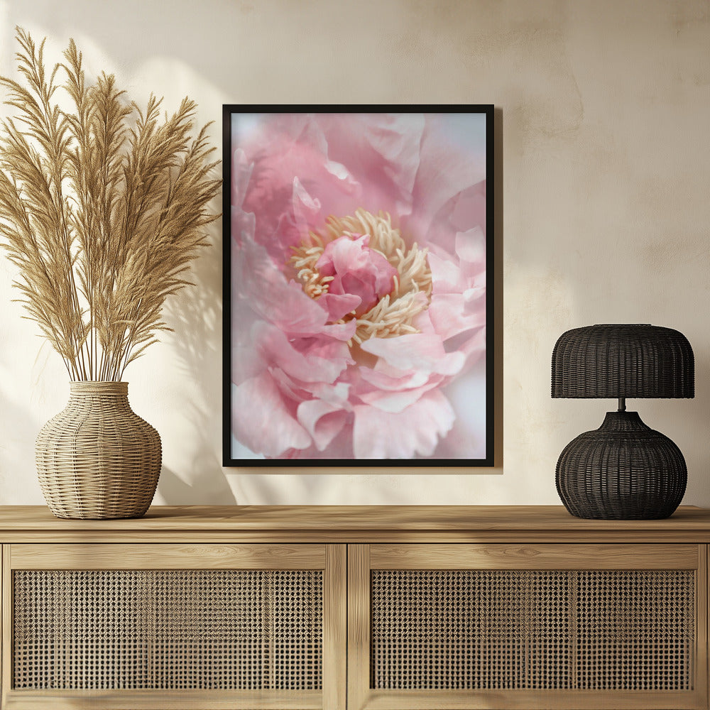 Blush peony I Poster