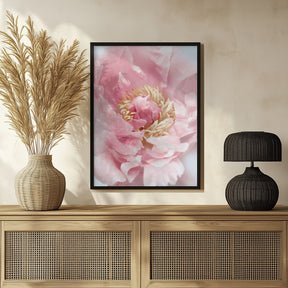 Blush peony I Poster