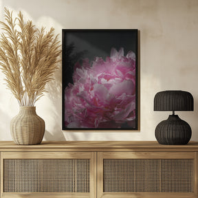 Moody pink peony I Poster