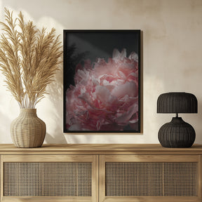 Moody blush peony I Poster