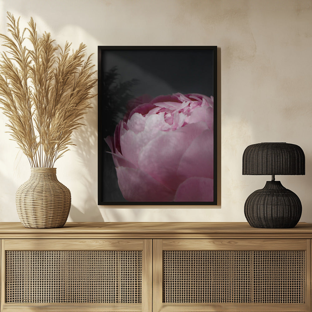 Moody pink peony II Poster