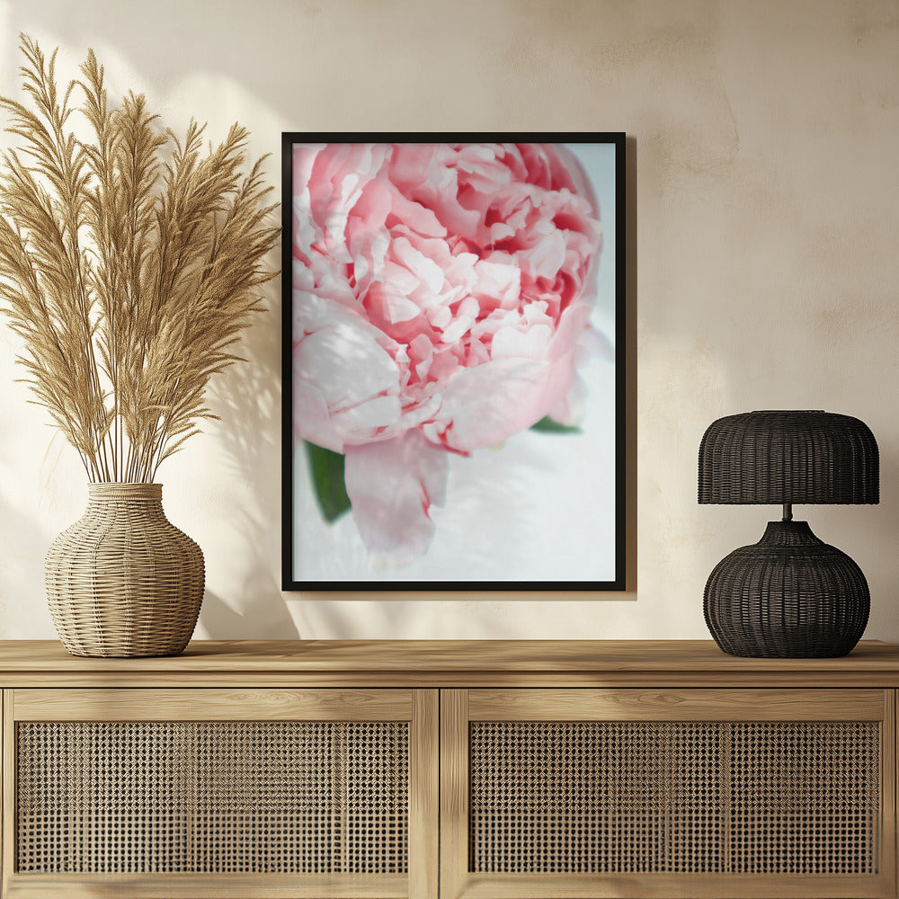 Blush peony VII Poster