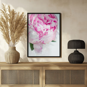 Pink peony VII Poster