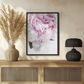 Subdued peony VII Poster