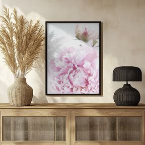 Subdued peony IX Poster