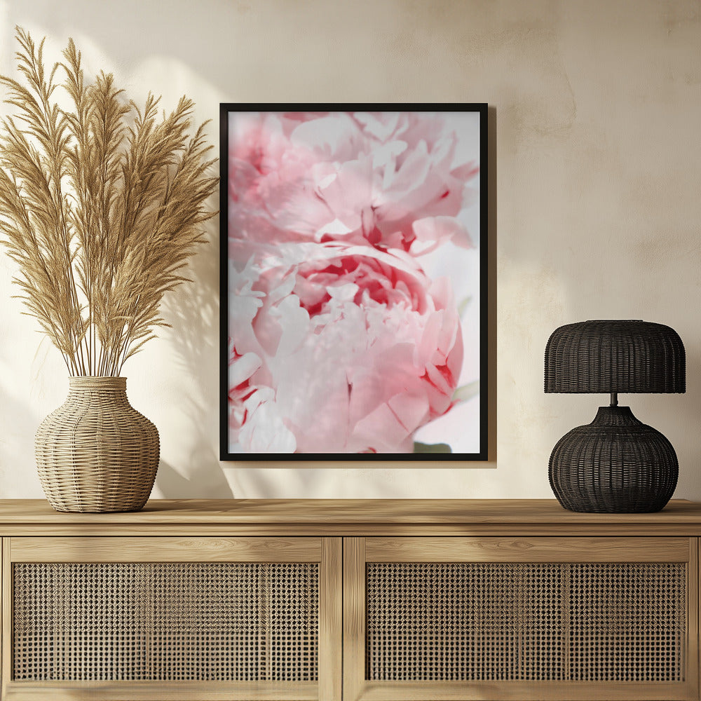 Bllush peony X Poster