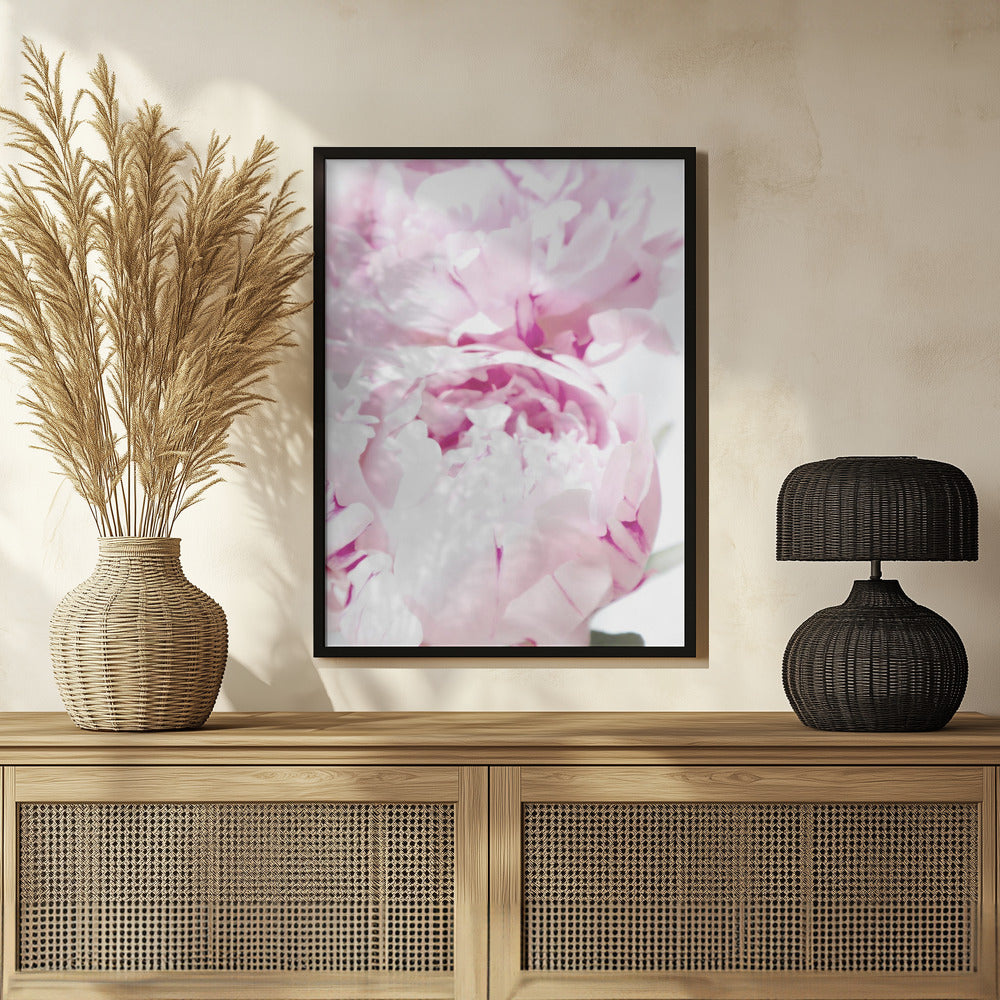 Subdued peony X Poster