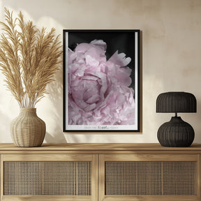 Enjoy the little things peony Poster