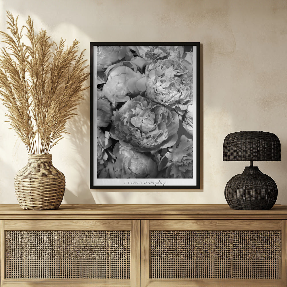 Life blooms everyday peonies bw Poster