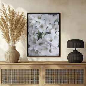 Distressed freesias V Poster