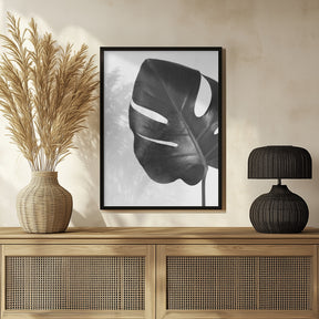 Gray monstera leaf Poster