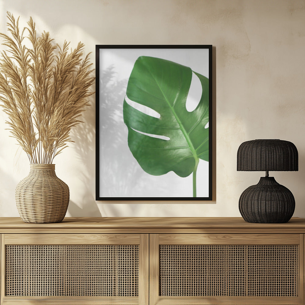 Bright green monstera leaf Poster