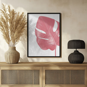 Pink monstera leaf Poster