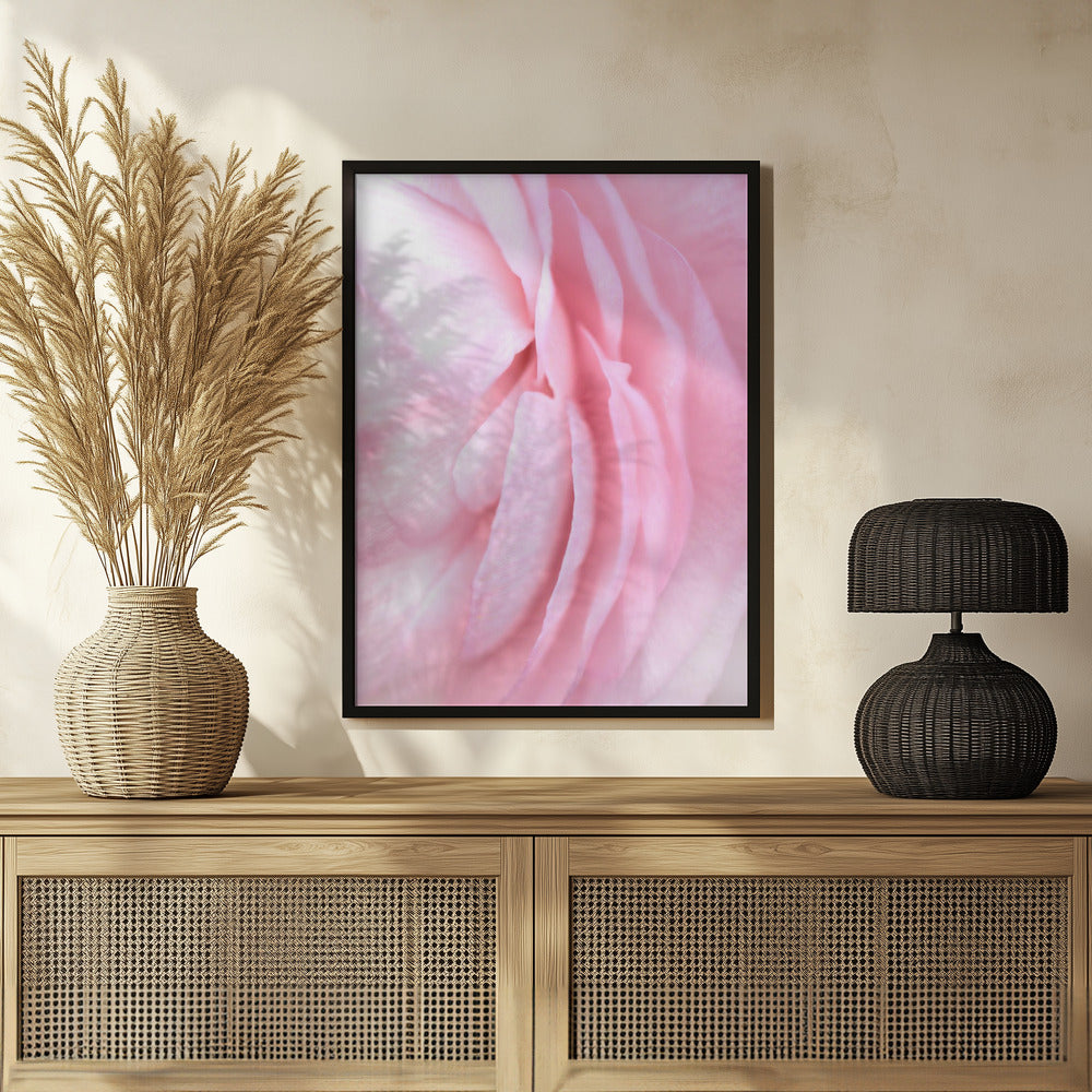 Soft pink petals Poster