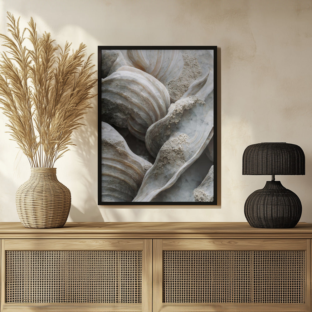 Sea Shells Detail No 1 Poster