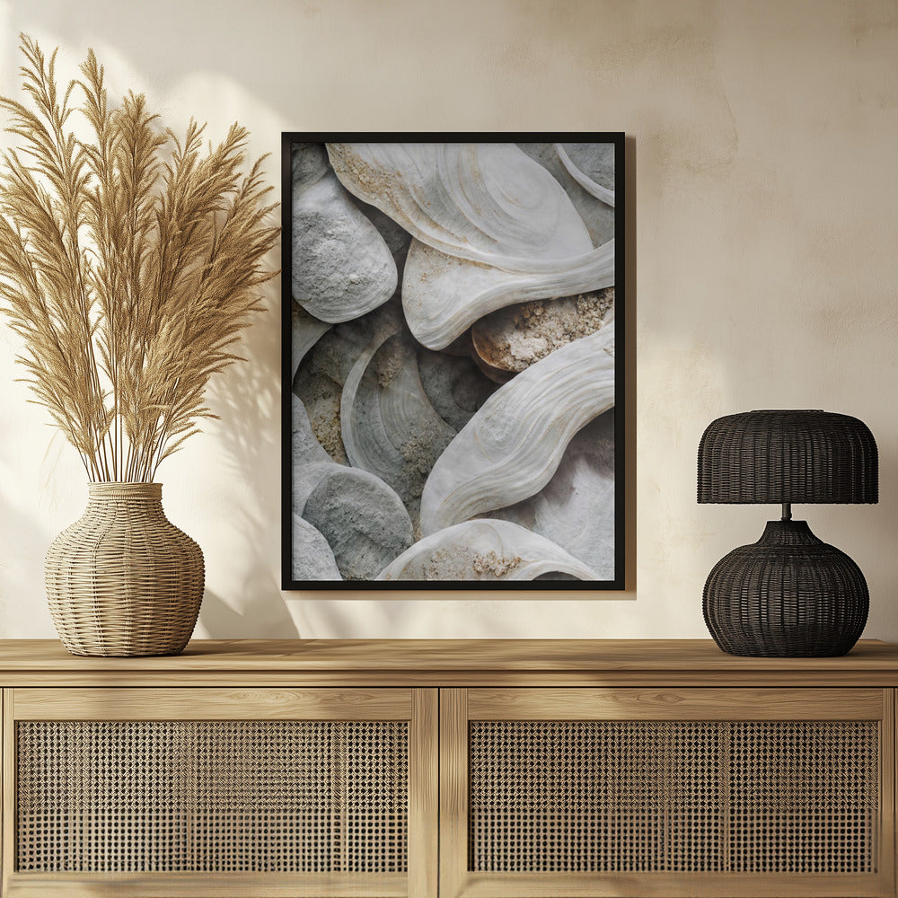 Sea Shells Detail No 3 Poster