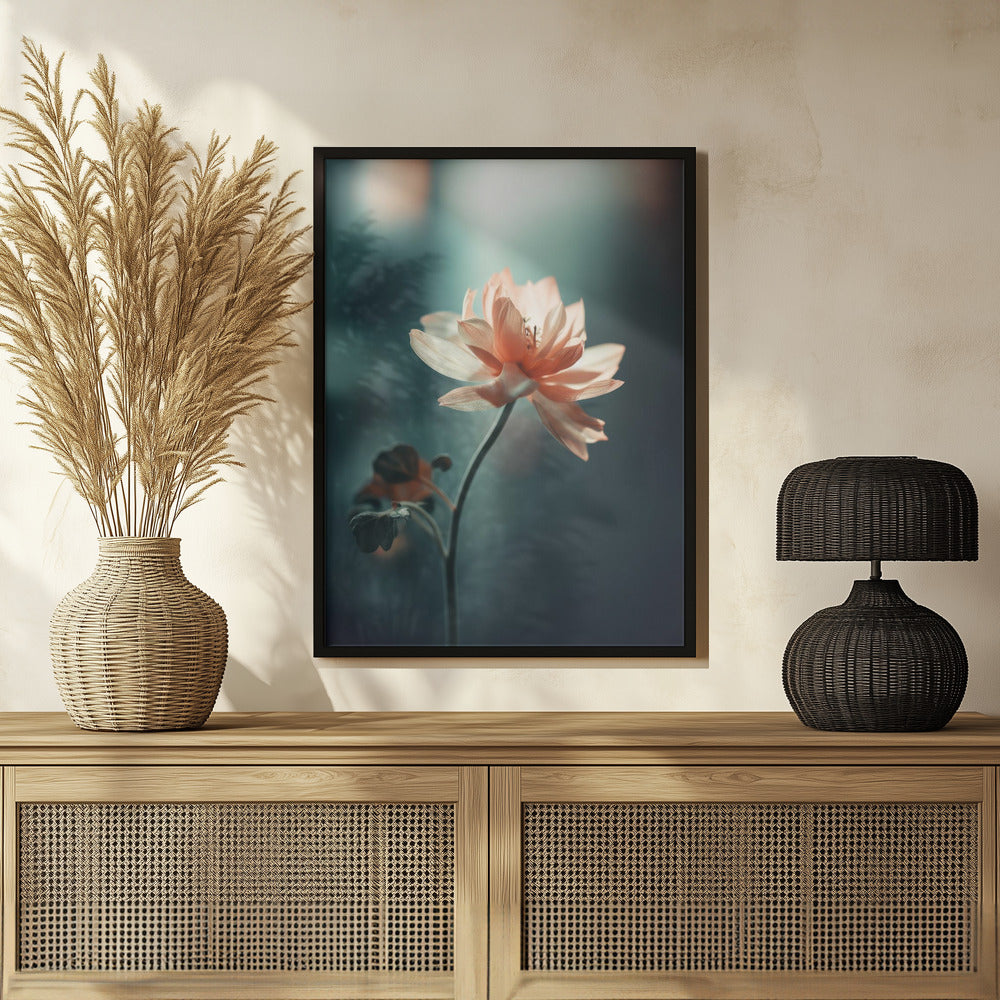 Coral Flowers At Night Poster