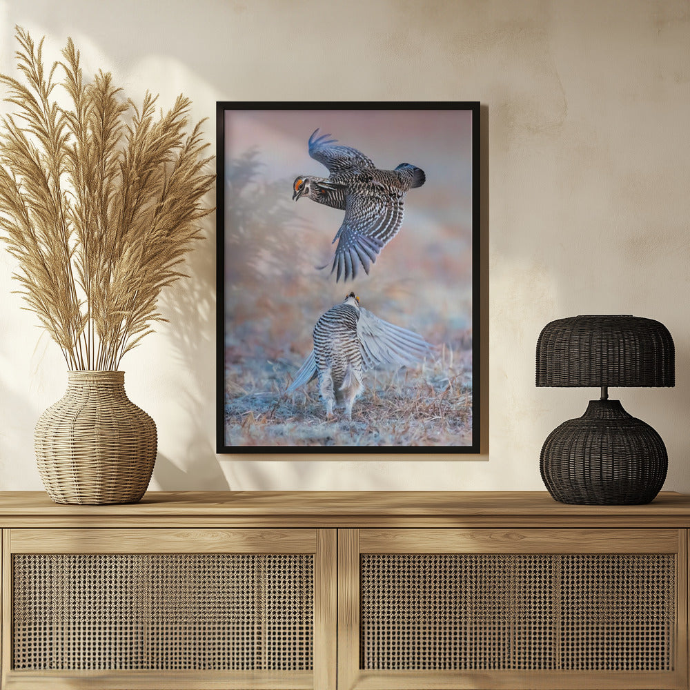 Greater Prairie Chicken Poster