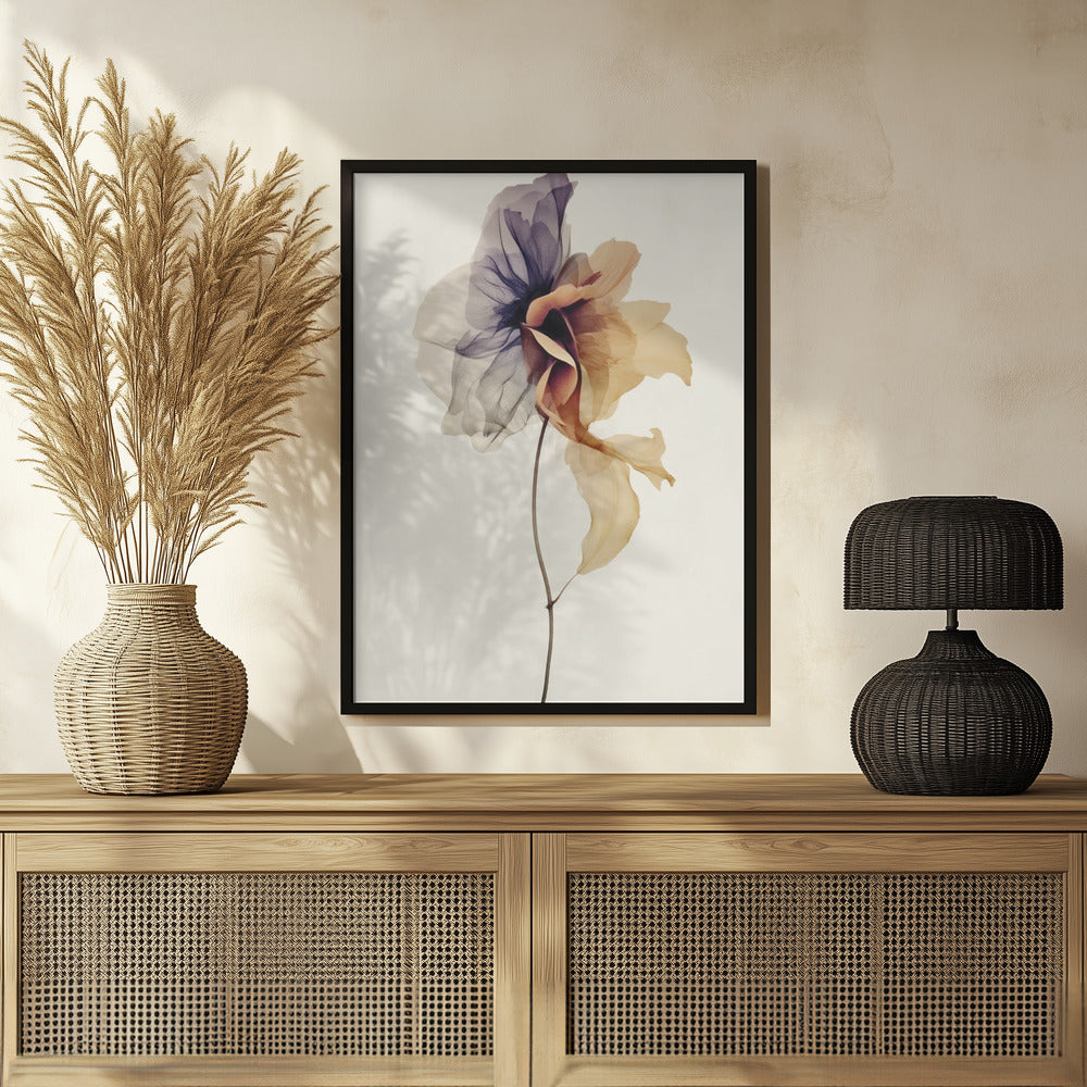 Chiffon Flower Poster