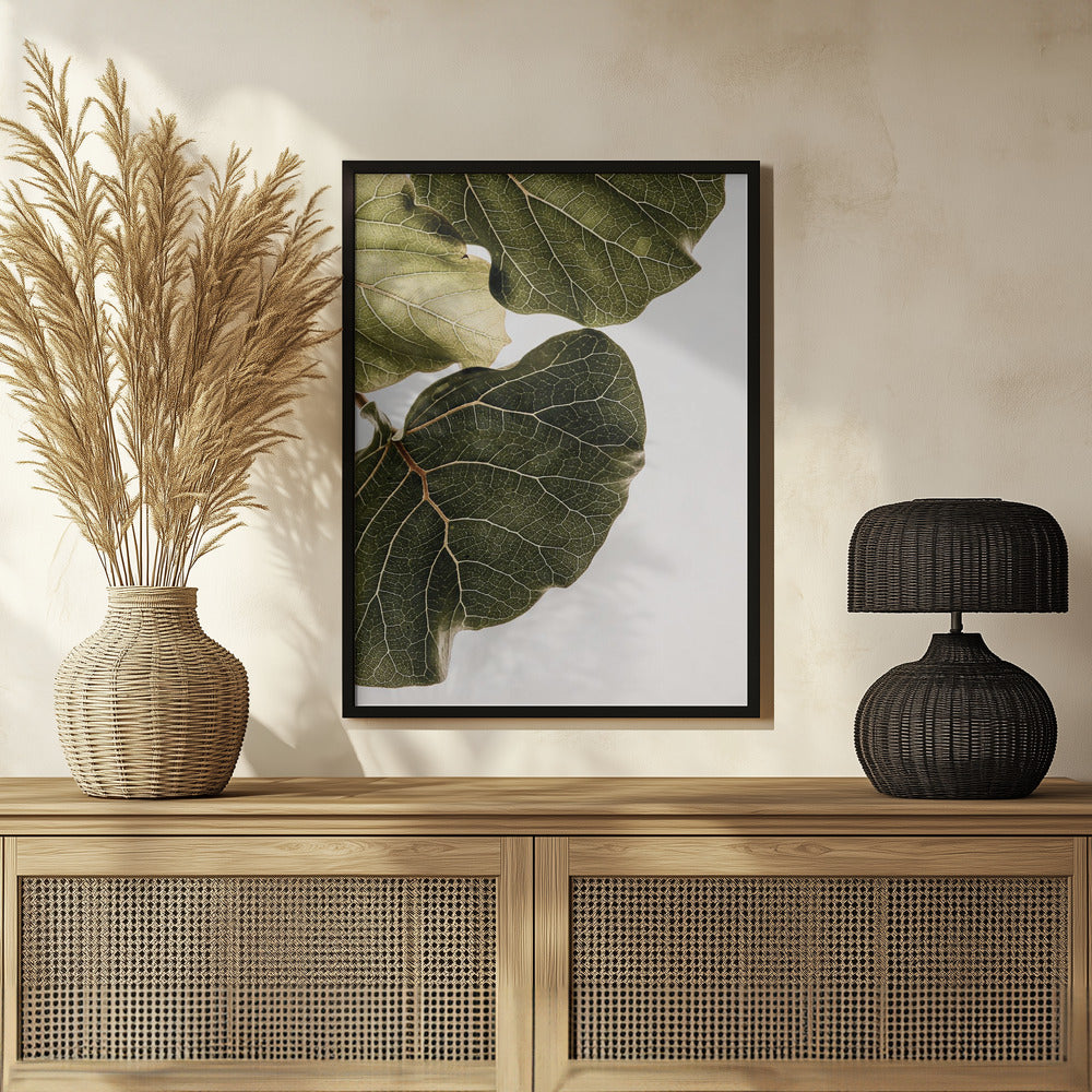 Abutifolia No1 Poster