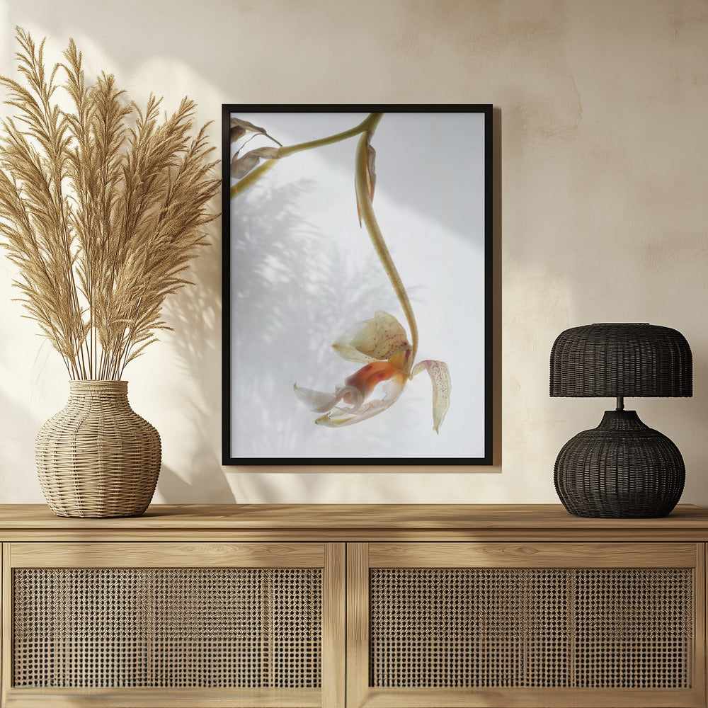 Arch Angle No1 Poster