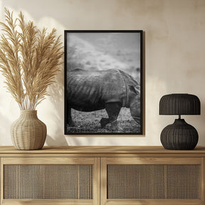 Black Rhino Poster