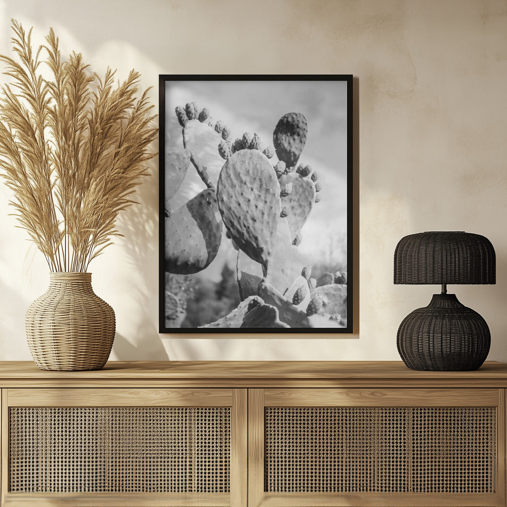 Cacti Cowboy No1 Poster