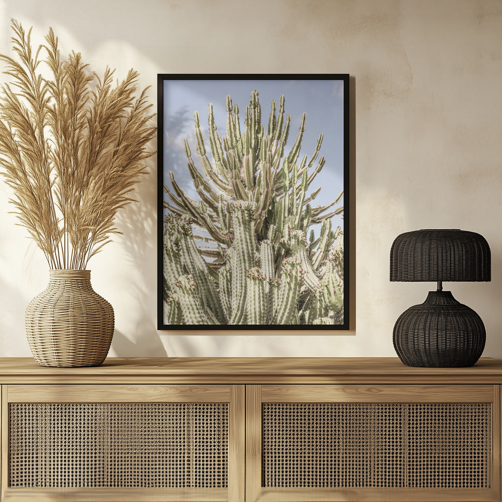 Catus Forest Poster