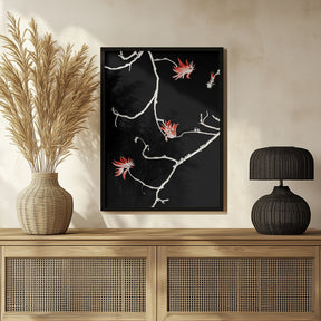 Coral Tree Poster