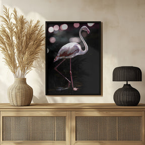 Dancing Flamingo Poster