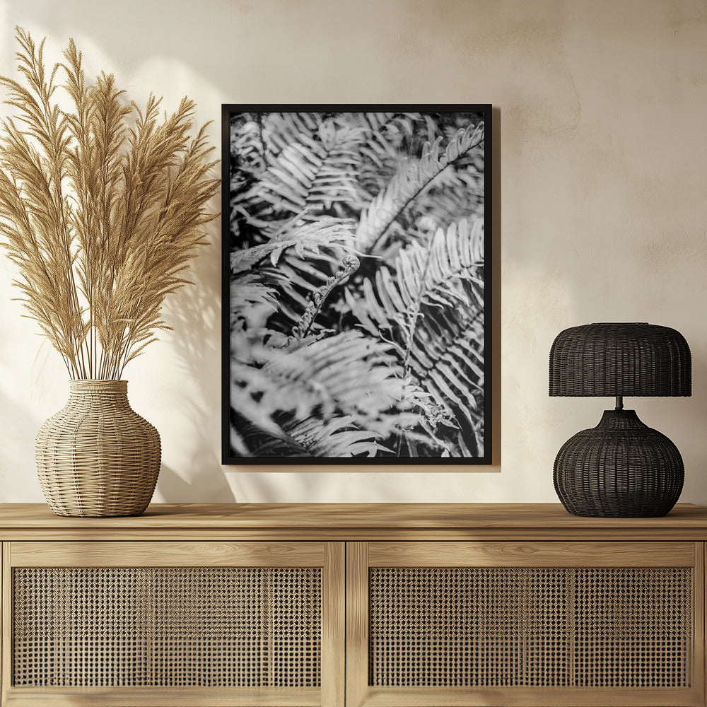 Forest Fern Poster