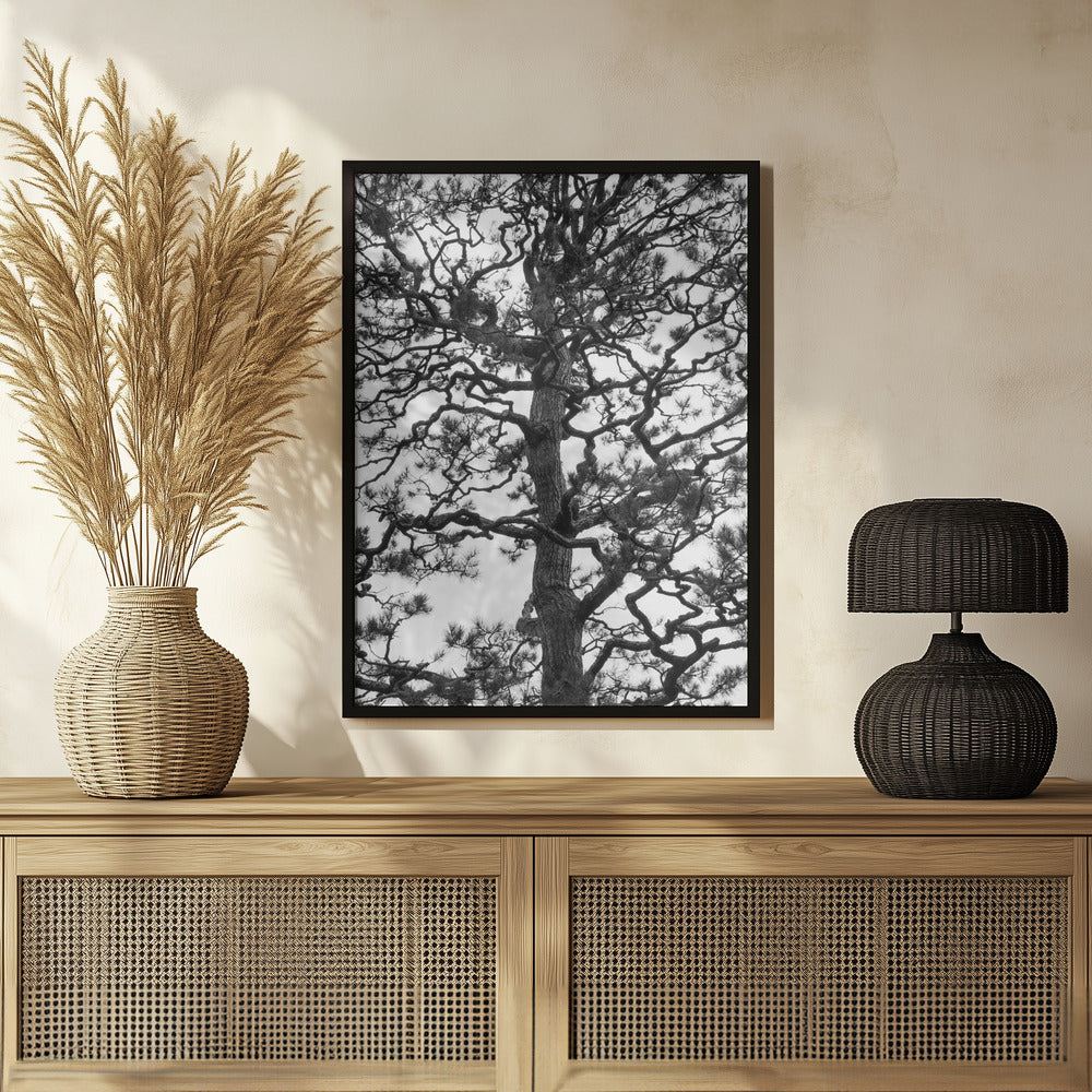 Japanese Garden 03 Poster