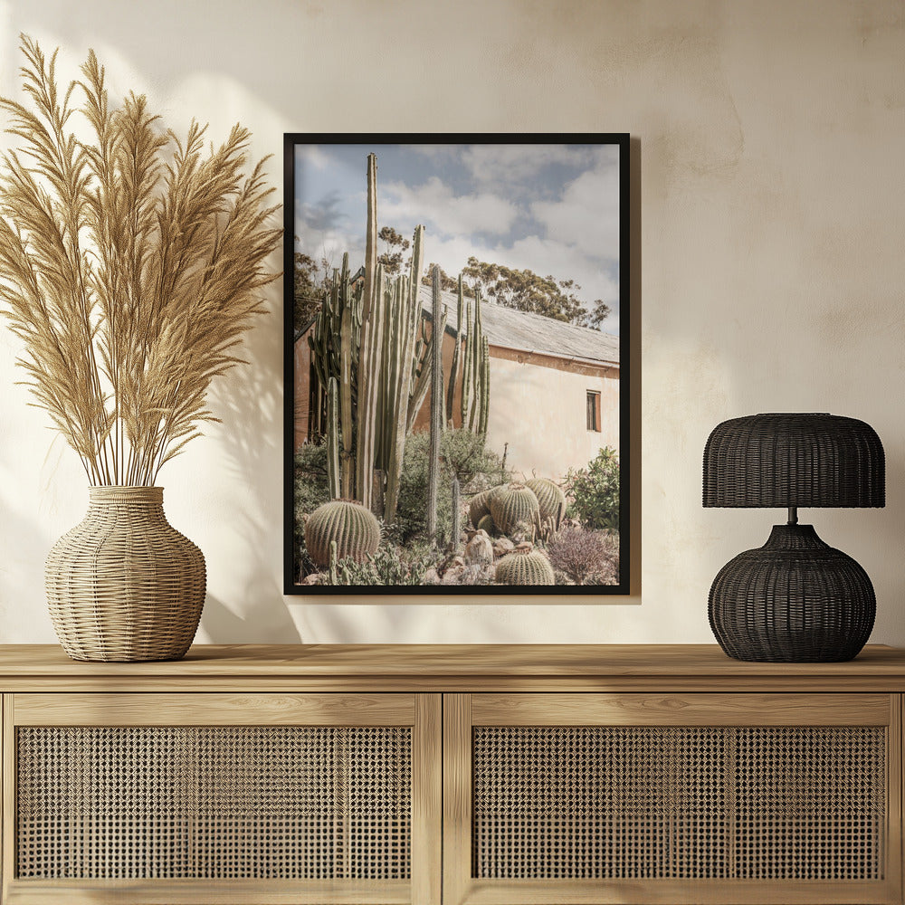 Karoo Garden 02 Poster