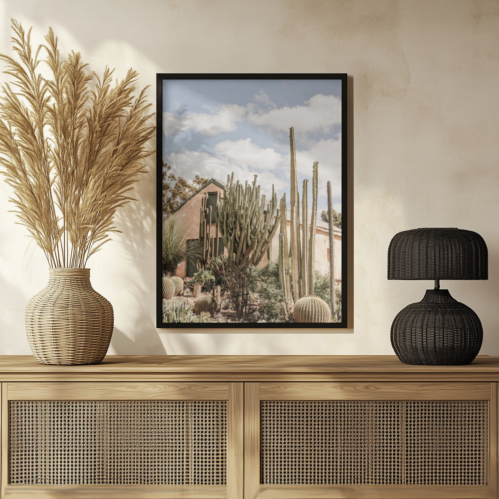 Karoo Garden Poster