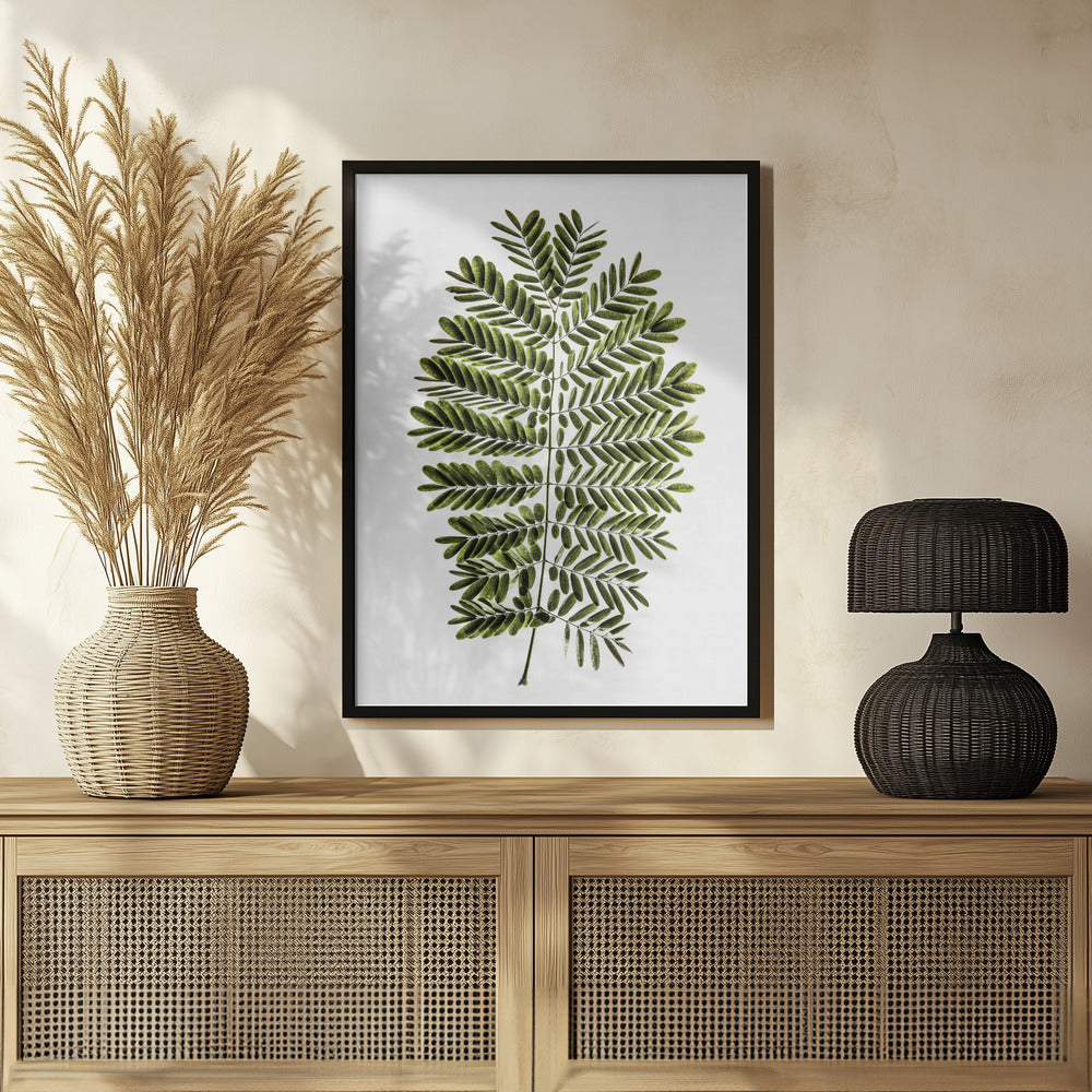 Leaf Study 02 Poster