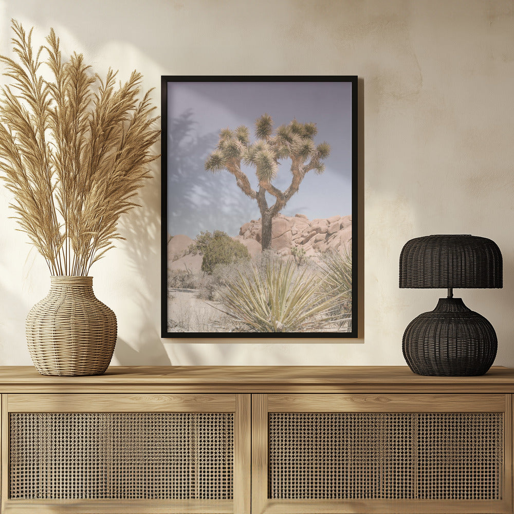 Mojave Desert Poster
