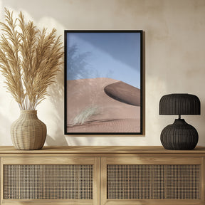 Namib Two Poster