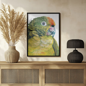 Parrot Poster